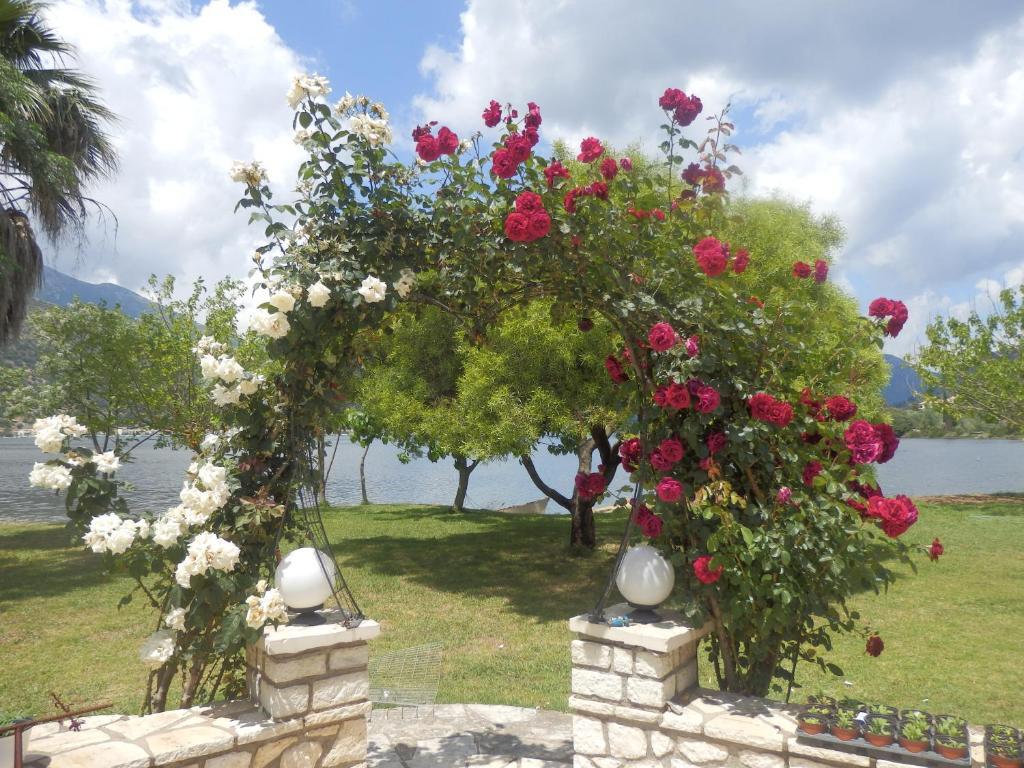 The Garden'S Studios Βλυχό Εξωτερικό φωτογραφία