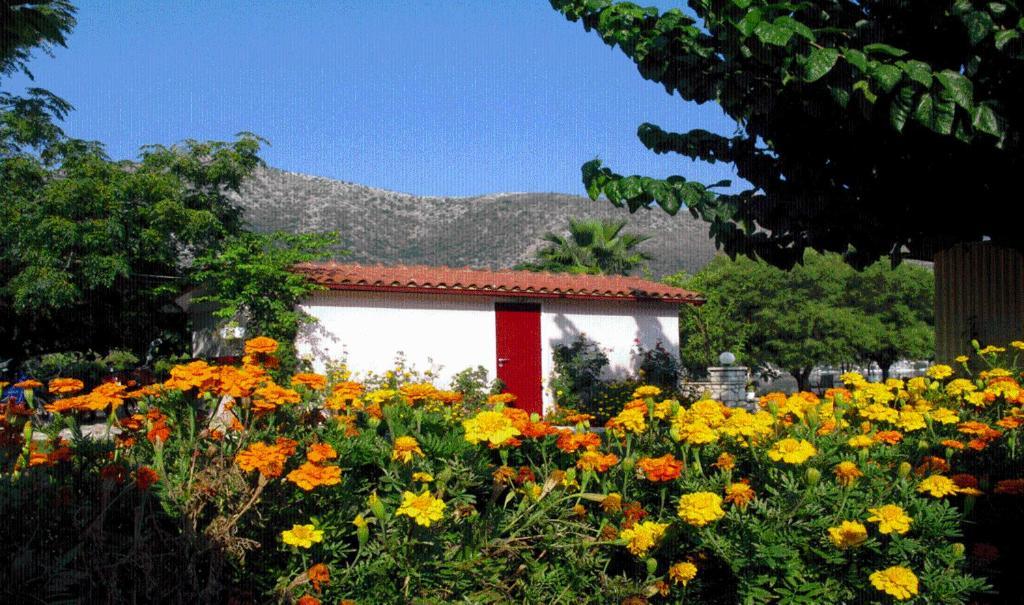 The Garden'S Studios Βλυχό Εξωτερικό φωτογραφία