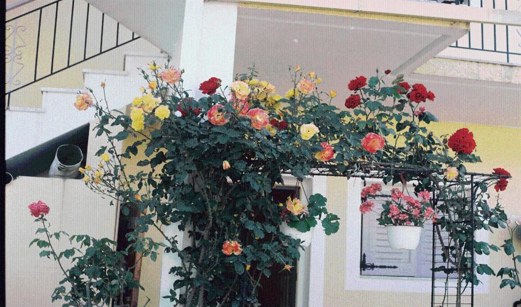 The Garden'S Studios Βλυχό Εξωτερικό φωτογραφία