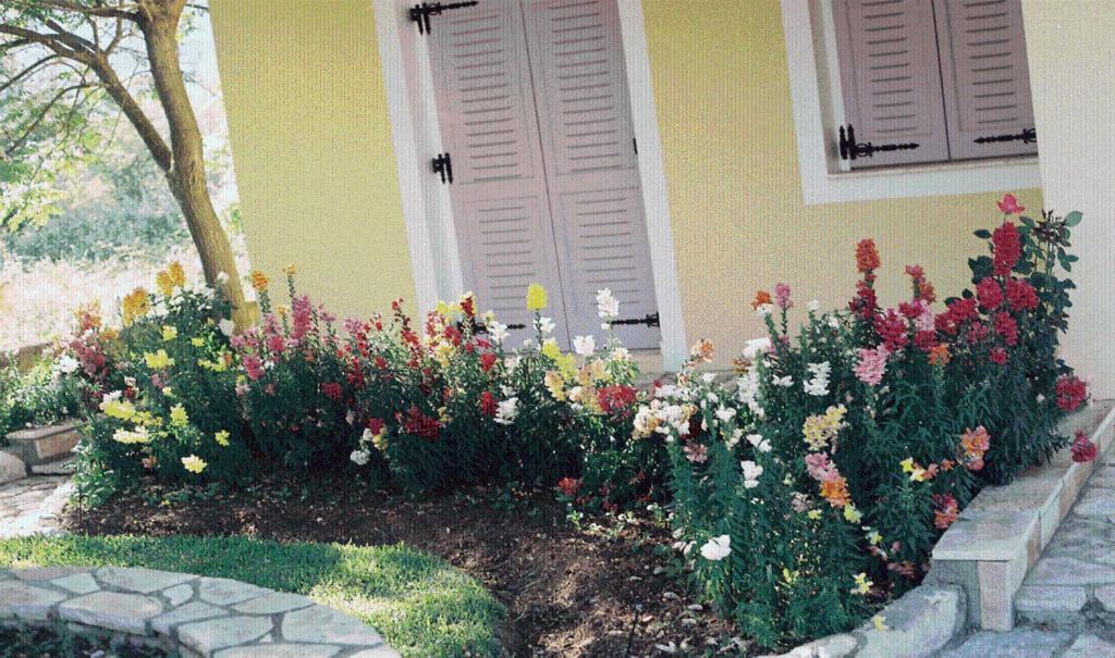 The Garden'S Studios Βλυχό Εξωτερικό φωτογραφία